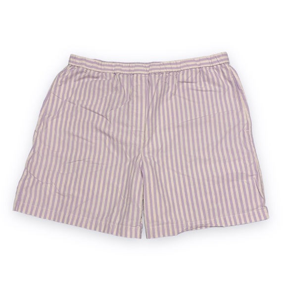 Aritzia Pants - Aritzia Purple and White Striped Women Shorts